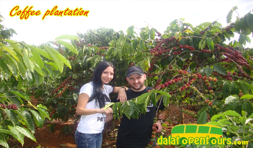 dalat-countryside-11