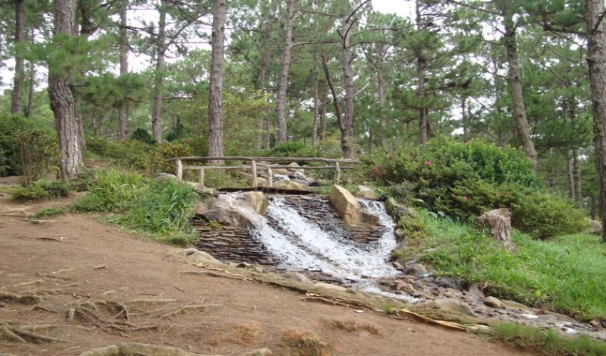 dalat-golden-valley