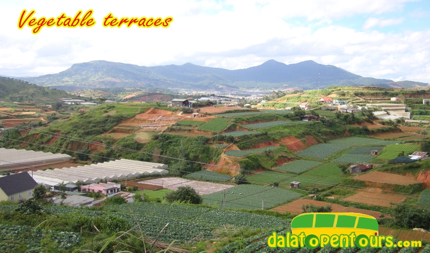 dalat-countryside-5